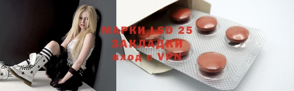 прущие грибы Дубна